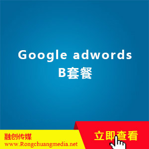 Google adwords B套餐