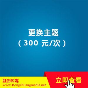 更换主题（300 元/次）