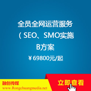全员全网运营服务【SEO、SMO实施】 B方案 （￥69800起）